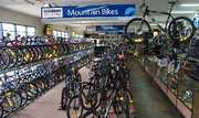 International Bicycle Dealer and Supplier